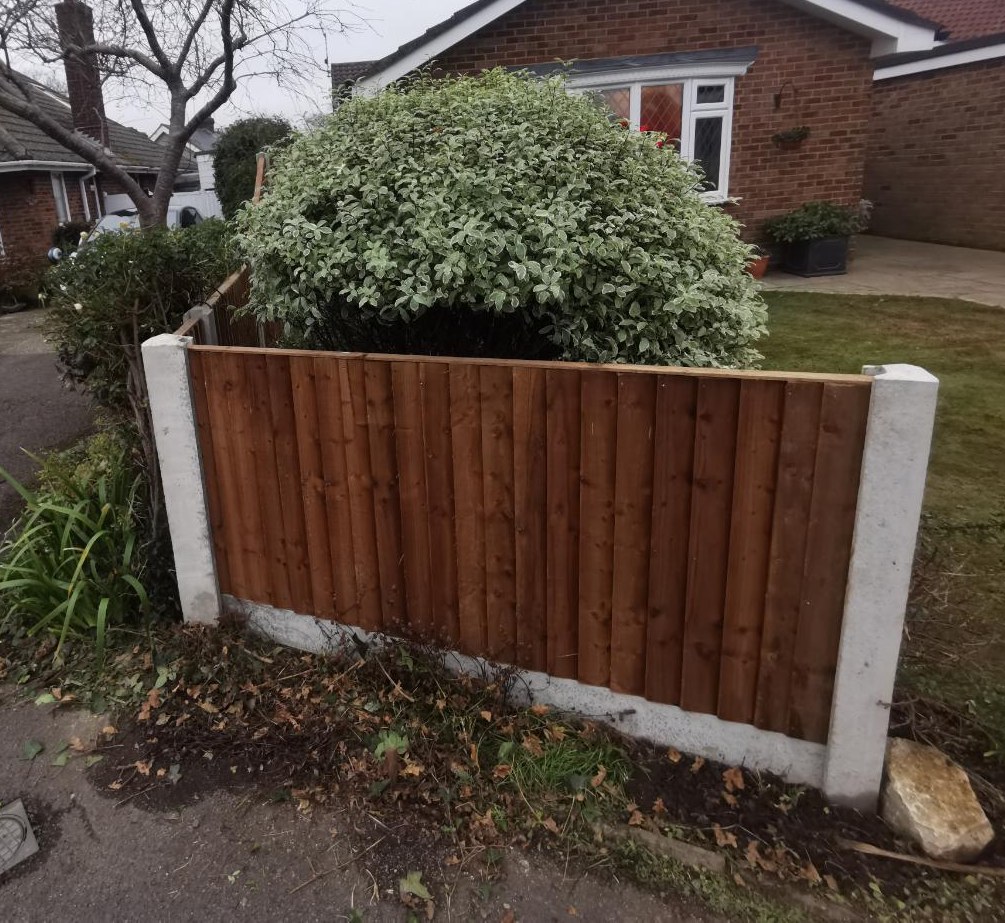 Close-board fence — front and side