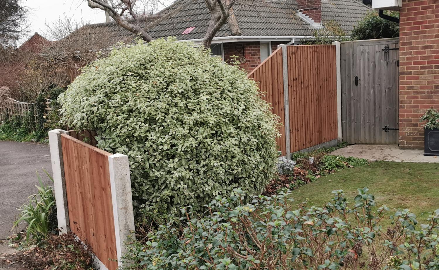 Fence turning the corner, matching the front panel